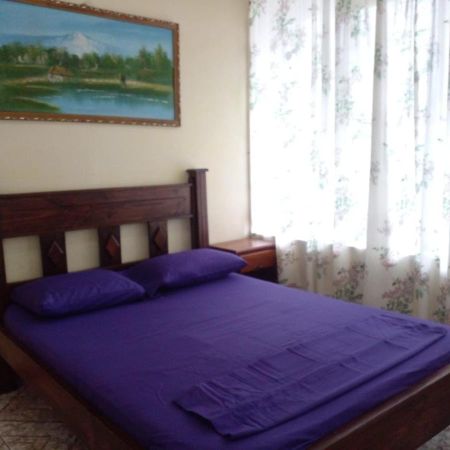 La Pension Backpackers La Fortuna Bagian luar foto