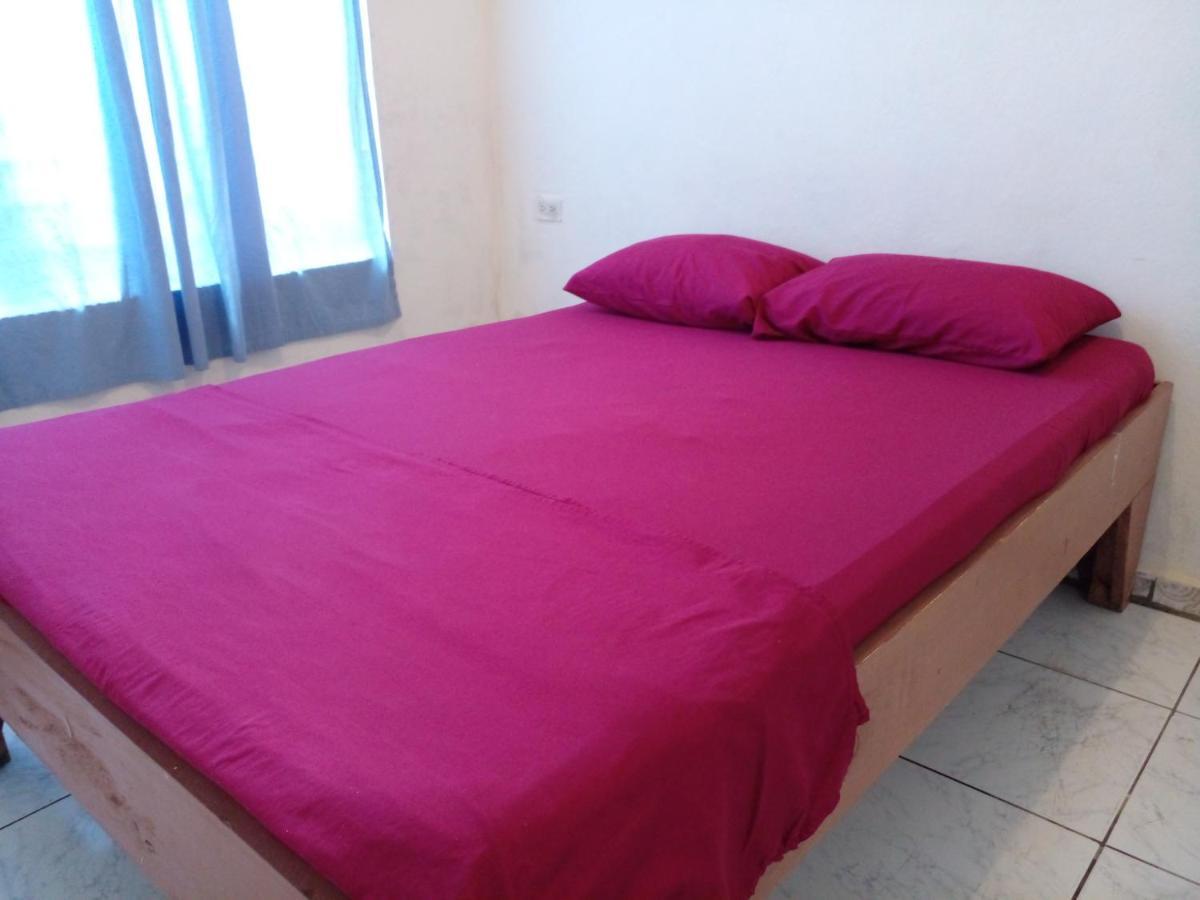 La Pension Backpackers La Fortuna Bagian luar foto